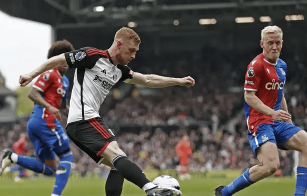 爱游戏在线-关于水晶宫主场难求胜，维尔特帮球队挽救一分的信息  第1张