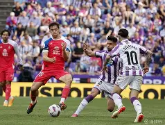 爱游戏网页版-巴拉多利德客场不败，展现出色团队合作精神的简单介绍  第2张